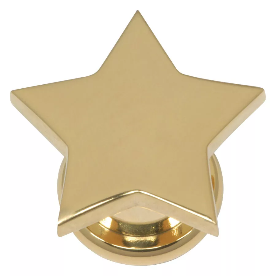 Steel Basicline® Screw Front Fleshtunnel Gold Star